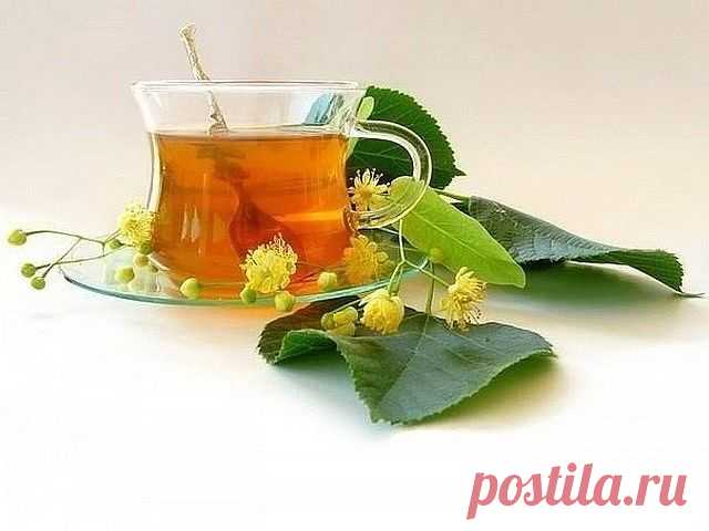 «Мама, ушко болит!»

Ситуация, знакомая многим родителям. Рецепт же крайне прост, дешев и эффективен.

Сварите вкрутую яйцо, затем тщательно отделите белок от желтка и положите желток в чистую простую (ни в коем случае не в искусственную и не в марлю) ткань и выжмите из него на блюдце несколько капелек. Эти капельки и закапываете в больное ушко. Боль проходит мгновенно и уже не возвращается. Главное условие — ткань, блюдце и пипетка должны быть стерильно чистыми, чтобы не ...