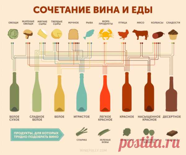 Как правильно сочетать вино и еду