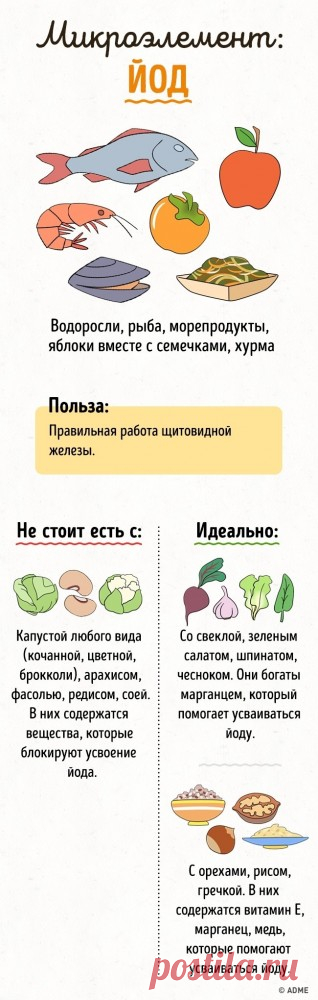 20+ ошибок в сочетании продуктов, изза которых их полезность вдвое снижается | Colors.life