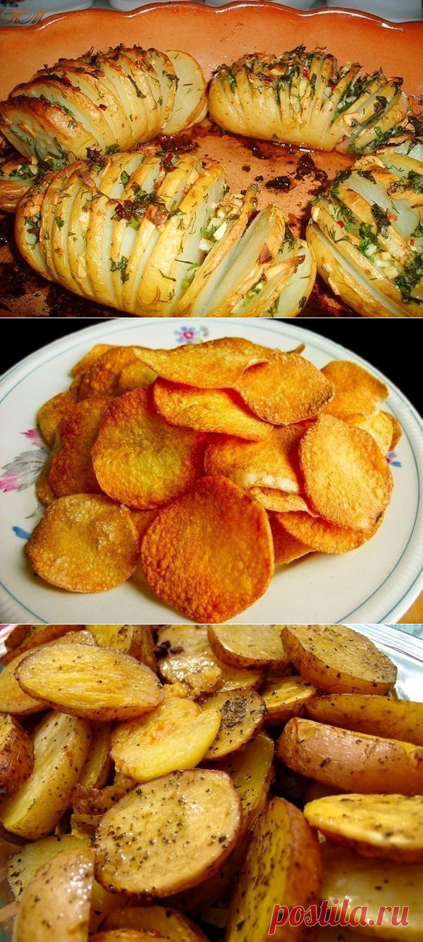 10 вкусных рецептов из картофеля ✨