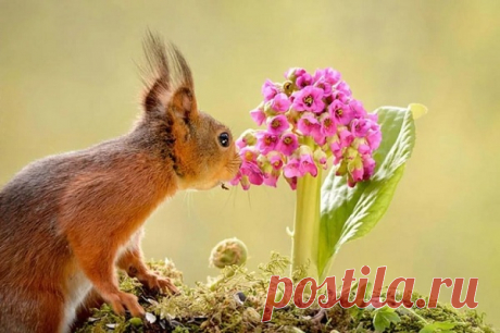 Мой Мир@Mail.Ru