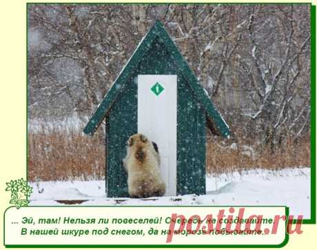 Хорошее настроение рядом