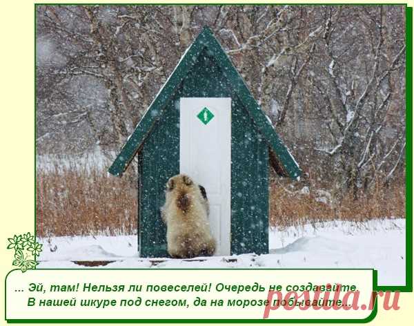 Хорошее настроение рядом
