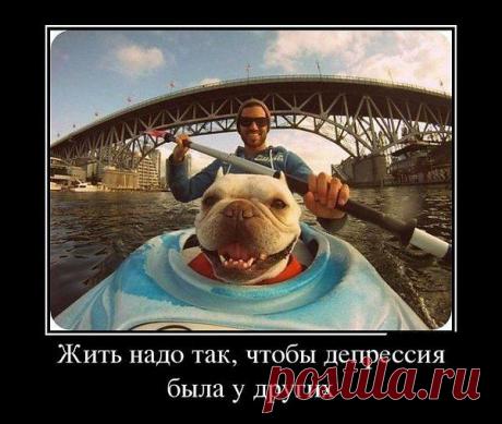 Интересные новости