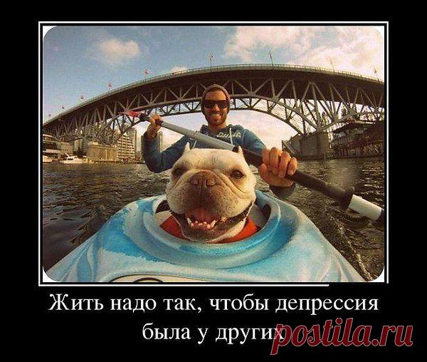 Интересные новости