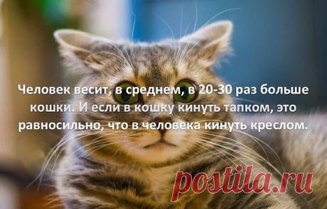 Интересные новости