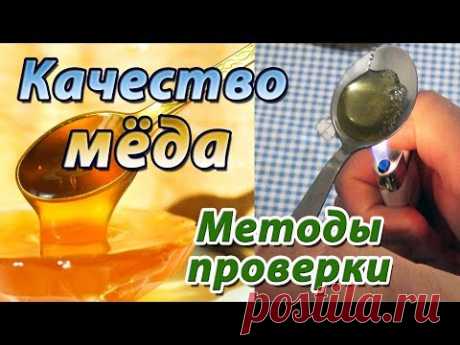 Как проверить качество мёда в домашних условиях. Проверка натуральности мёда. Методы проверки мёда