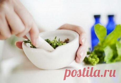 8 рецептов мазей от остеохондроза