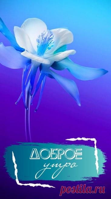 С добрым утром Привет Здрасте