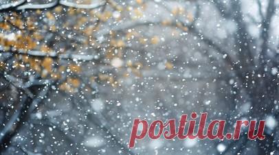 Штормовое предупреждение из-за снега объявили в Челябинской области 8—9 декабря. В Челябинской области 8 и 9 декабря объявили штормовое предупреждение из-за неблагоприятных погодных условий. Читать далее