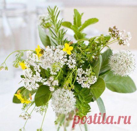 Как очистить и защитить дом | Изюминки