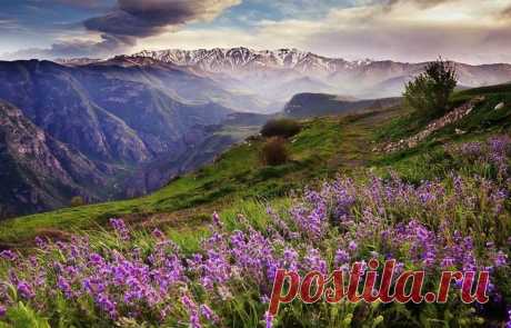 Բարի լույս.... օր լուսավոր☀
Բարի լույս շաղե լույս ու բարիք🙏
Բարի առավոտ...իմ ծաղկած Հայրենիք:🇦🇲