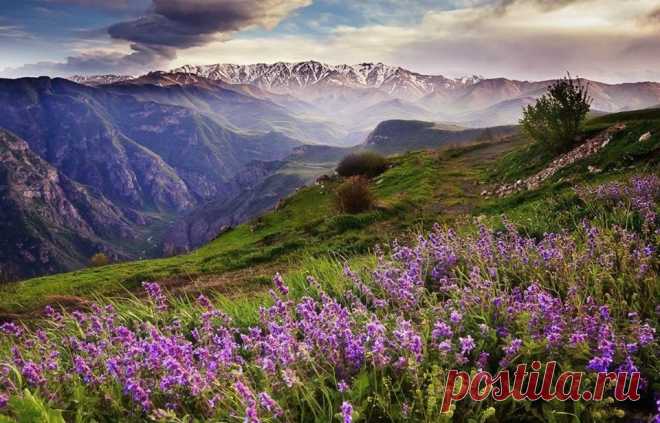Բարի լույս.... օր լուսավոր☀
Բարի լույս շաղե լույս ու բարիք🙏
Բարի առավոտ...իմ ծաղկած Հայրենիք:🇦🇲