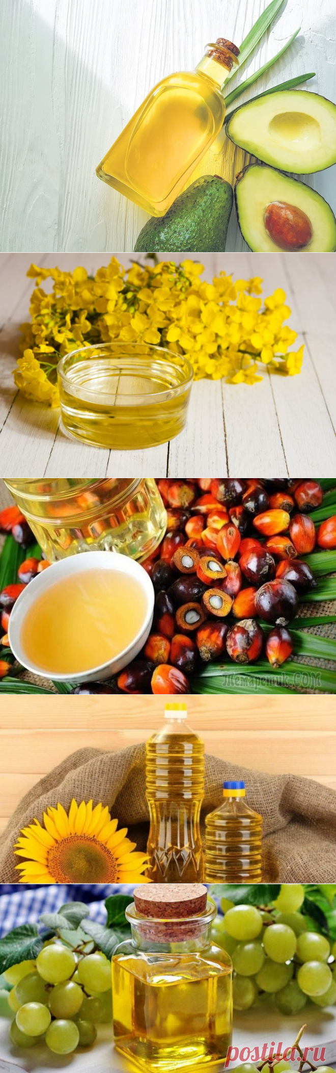 Не только растительное: 9 видов масла, которые можно использовать для готовки