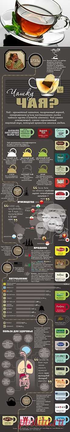 ВСЁ  О ЧАЕ