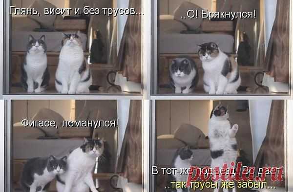 Интересные новости
