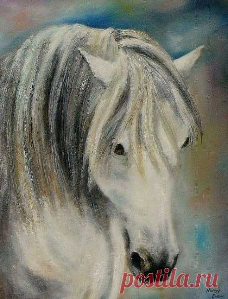 AT RESİMLERİM &amp; NURAY ENGİN &amp; MY HORSE PAINTING