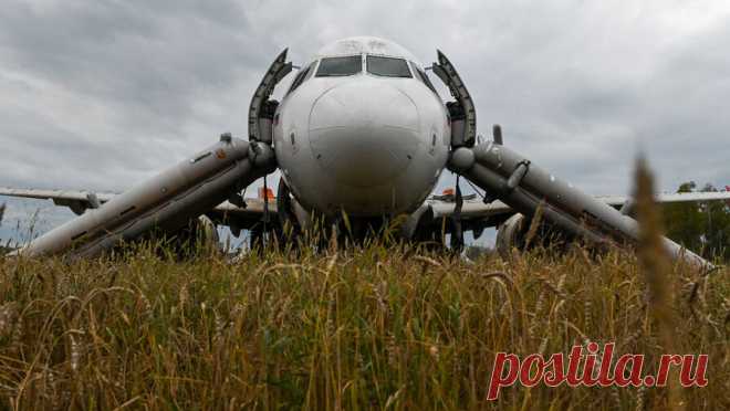 В Росавиации решили искоренить практику посадок самолетов в поле. Росавиация распространила по авиакомпаниям циркуляр с требованием обязать пилотов правильно рассчитывать остаток топлива с учетом его повышенного расхода. Таким образом в ведомстве намерены бороться с практикой посадок самолетов в ...