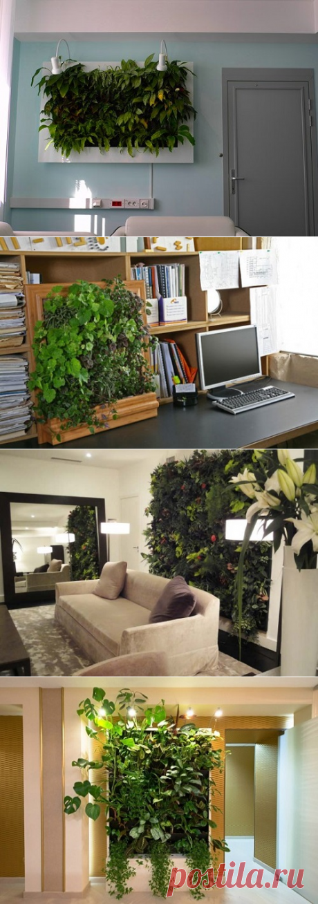 Простые декоративные идеи — Наши дома