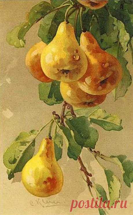 (300) ГРУШИ. Для декупажа. Распечатаю на любой бумаге. | Frutas Verduras y Hortalizas