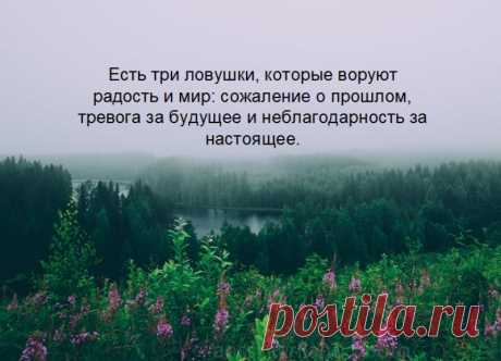 40 потрясающих цитат Ошо о жизни, любви и свободе -