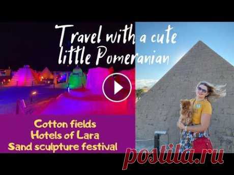 Concept hotels of Antalya and Sand sculptures/ Концептуальные отели Анталии и песочные скульптуры In this video we visited concept hotels of Antalya, Kundu. A cute pomeranian accomplined us. Also we visited sand sculptures at Lara beach. В этом вид...
