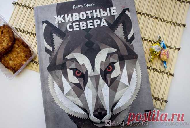 Много лет иллюстратор и детский писатель Дитер Браун путешествовал по всему миру, изучая внешний вид животных, их повадки и привычки, а потом создал серию выдающихся плакатов. В эту книгу вошли его лучшие работы, посвященные животному миру Северного полушария. Книга "Животные Севера" ( проведет нас по самым необычным местам Северного полушария. Вслед за афалиной мы окунемся в воды океана, вместе с кабаном поищем вкусные корешки на опушке леса, пройдем по следам верблюда сквозь…