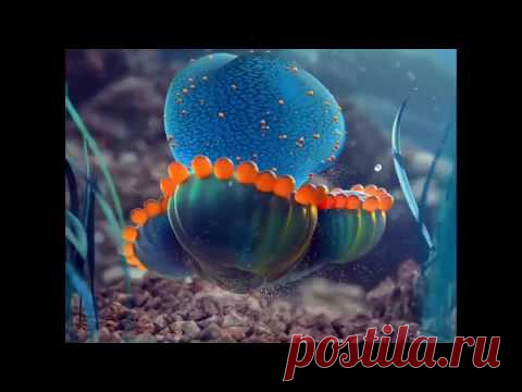 Креативный директор, дизайнер движения, 3D художник Фабиан Аэртс