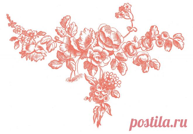 10 Бесплатные Старинные Розы Изображения-Великолепный! - Графика Сказочная