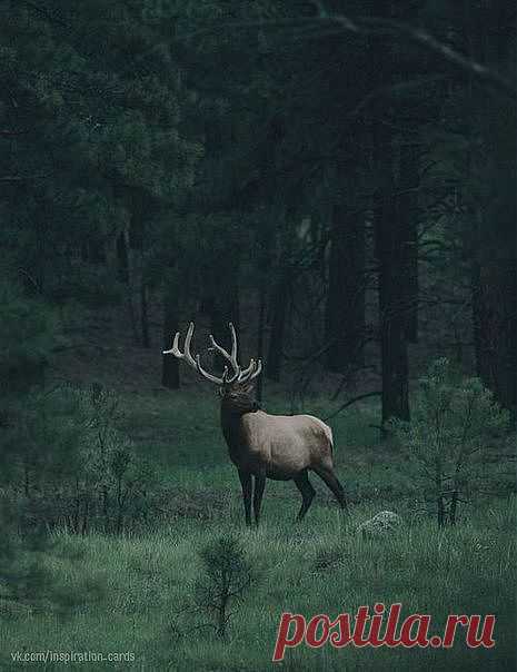 Группа: KupiVIP