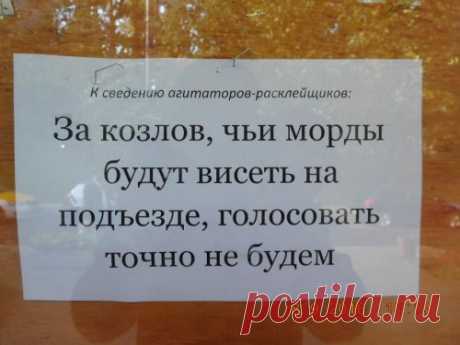 Свежие прикольные картинки для всех - МирТесен
