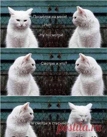 Кокетка, прям вся из себя!
