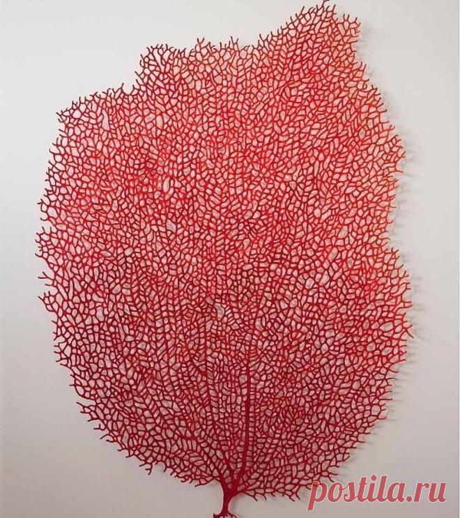 Сложно назвать это вышивкой, но красота неописуемая: тончайшие работы рукодельницы из Австралии | MIAZAR | Яндекс Дзен