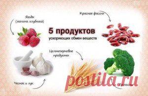 5 продуктов ускоряющих обмен веществ