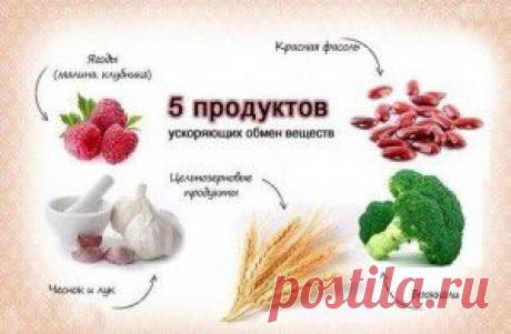 5 продуктов ускоряющих обмен веществ