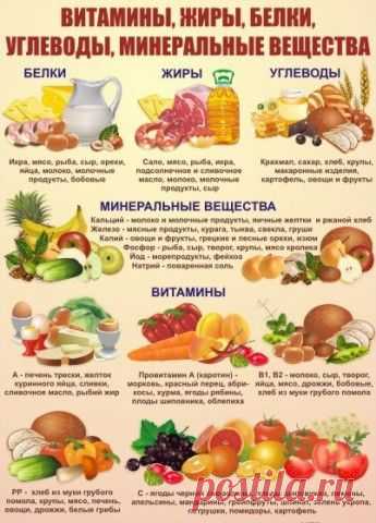 Название: Полезные таблицы. Вся таблица Менделеева. - запись пользователя Koralek  (Катюша) в сообществе Болталка в катег… | Здоровое питание, Чистое питание,  Полезное питание Найдено в Google. Источник: pinterest.ru