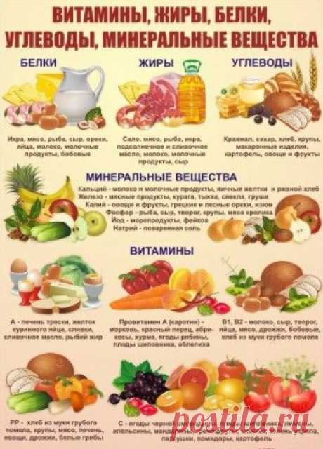 Название: Полезные таблицы. Вся таблица Менделеева. - запись пользователя Koralek  (Катюша) в сообществе Болталка в катег… | Здоровое питание, Чистое питание,  Полезное питание Найдено в Google. Источник: pinterest.ru