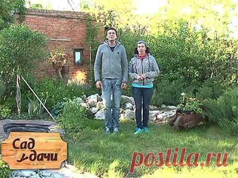 Как правильно приготовить мульчу и компост из опилок [1702] | Удобрения | Garden Star - информационный портал