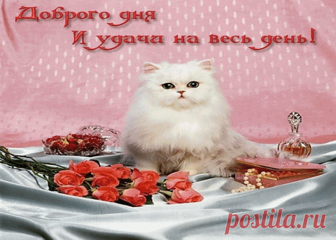 Красивые бесплатные картинки доброго дня | Открытки бесплатно