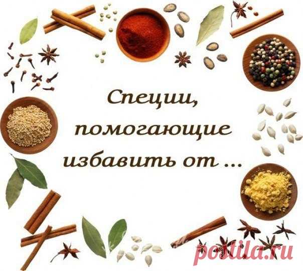 Специи, помогающие избавить от...

... страха, беспокойства, перенапряжения:
кардамон,
корица,
гвоздика,
тмин,
горчица (семена).

... гнева, ненависти, зависти:
кумин,
кориандр,
шафран,
куркума,
фенхель.

... нерешительности, жадности, склонности к депрессиям
красный и черный перец,
кардамон,
гвоздика,
тмин,
имбирь,
куркума,
асафетида.

Специи, помогающие развить...

... острота реакции, живость воображения
имбирь,
корица,
красный перец,
кардамон.

... хорошую память, остр...