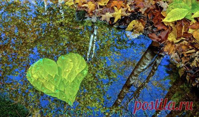 Всем любви и счастья: Удивительные инсталляции Дэвида Аллена | Позитивчик