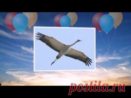 Слайд шоу.Журавли