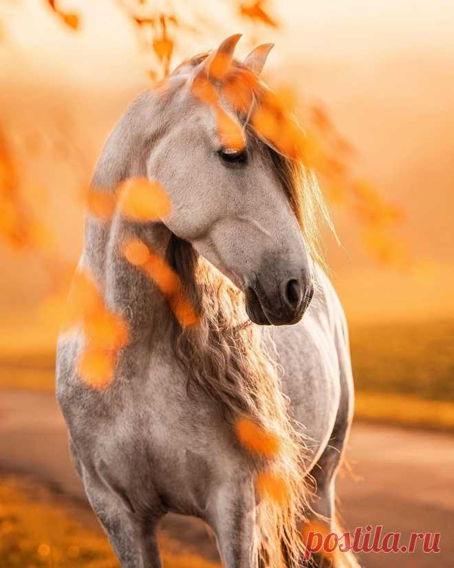 ღ