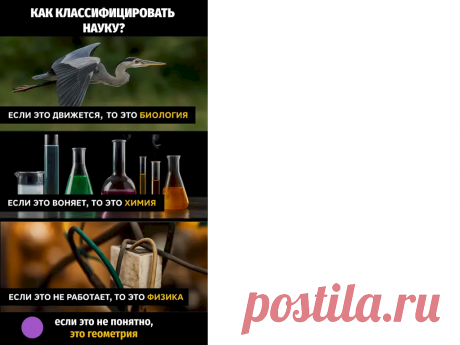 Выпуск №6441 - выпуск анекдотов сайта вокруг смеха