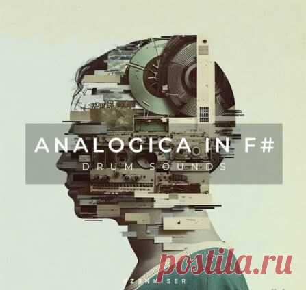 Download Zenhiser Analogica In F# [WAV] FANTASTiC | 10 October 2024 | 366 MB Dive into the rich, analog drum warmth of 
