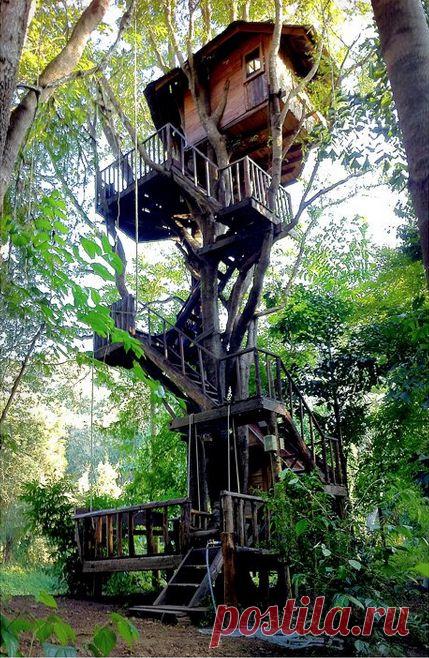 5 приключения в Таиланде вы наверное не слышали из - Матадор сети