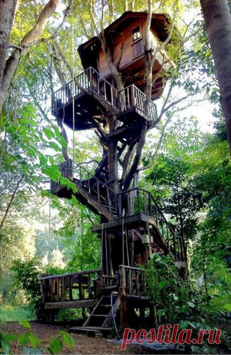 5 приключения в Таиланде вы наверное не слышали из - Матадор сети