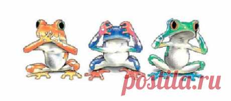 Лягушки, соблюдающие заповедь