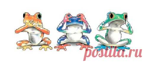 Лягушки, соблюдающие заповедь