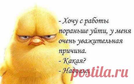 Одноклассники